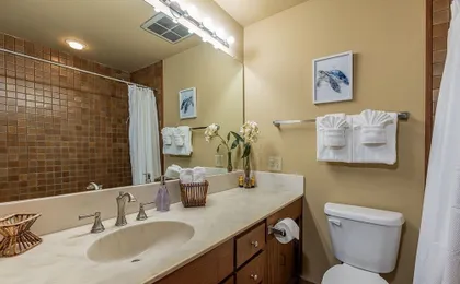 Wailea Ekolu 408 1 Bedroom Condo