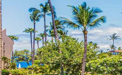 Aloha Kamaole Steps from Sand in Maui