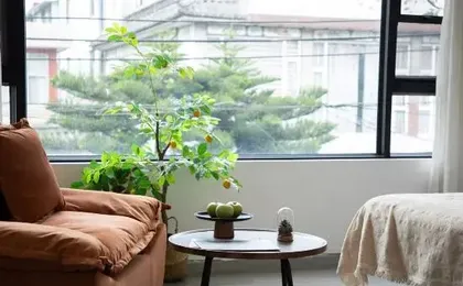 Lanyue No.3 Courtyard Homestay (Erhai Ecological Corridor)