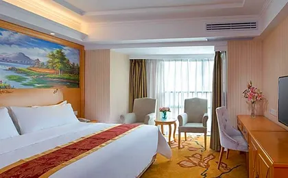 Vienna Hotel Shenzhen Airport Gushu Metro Station