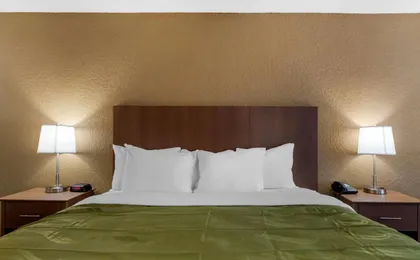Quality Inn Saint Petersburg North Tampa Bay