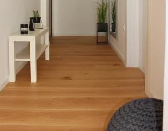 Apartments Luce