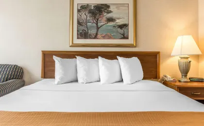 Holiday Inn-Springfield South