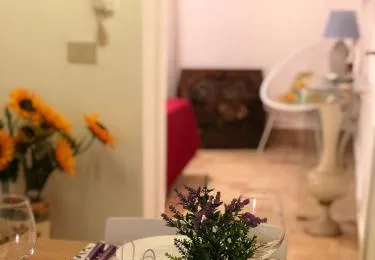 La casa del Cedro