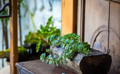 Guanhai Lanting Lake View Inn