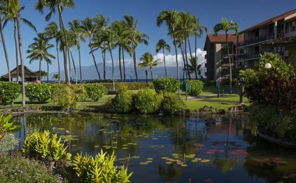 Papakea Ocean Front Resort by Aei