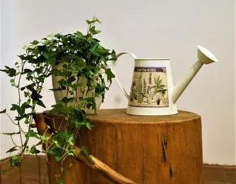 Momos Studio Apartment Zagreb