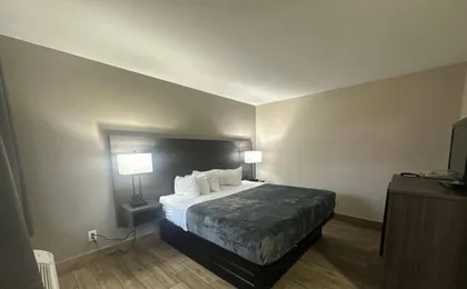 Econo Lodge St Petersburg Central