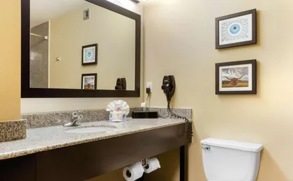 Comfort Inn & Suites Amarillo East