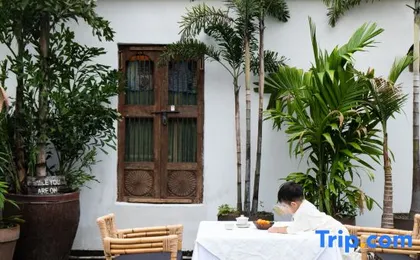 Tree-Vow Homestay