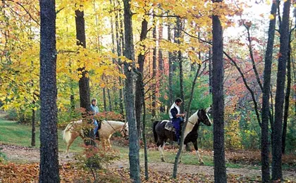Forrest Hills Mountain Resort