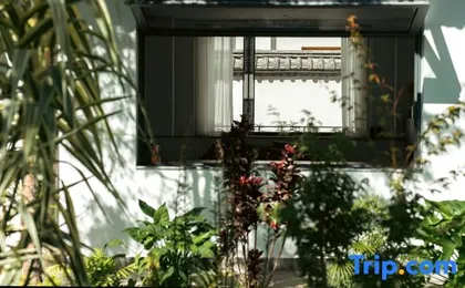Lijiang Luyin Wabi-Sabi View Garden (Shuhe Town Shop)