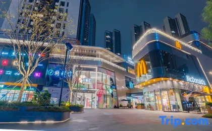 Bosiden Executive Apartment (Vanke and Songxuan Branch, Shenzhen North Station)