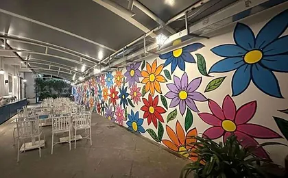 StayBird - B Suite Business Hotel