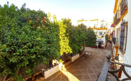 Apartamento Plaza de Dona Elvira 8