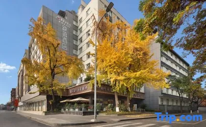 ANYEE•Jinzhu Hotel (ChengDu Tianfu square Wuhou Temple)