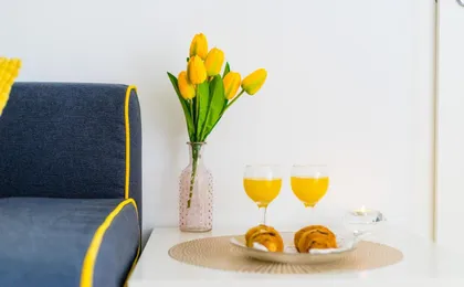Guest House Babina - Apartments King & Queen