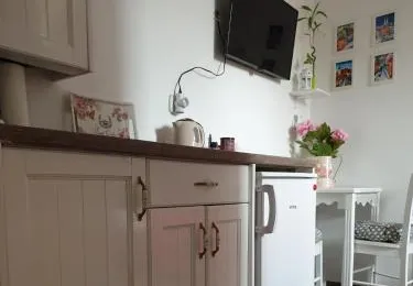 Mickey Mouse & Studio Mini