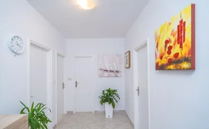 Vulicevic Apartment