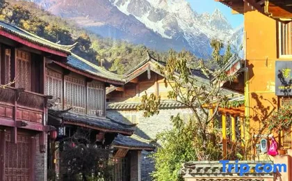 Canglanju · Solitude | Sunlit Golden Mountain · Artistic Haven Villa (Shuhe Ancient Town Branch)