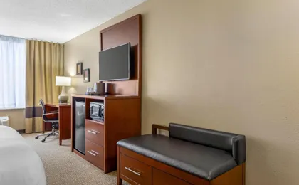 Comfort Inn Downtown