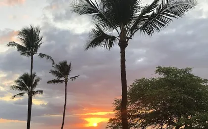 Royal Mauian by Coldwell Banker Island Vacations