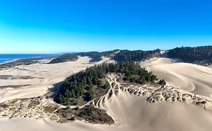 Winchester Bay Inn