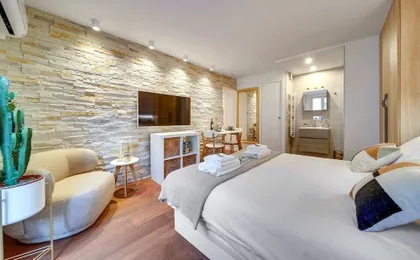 Historical Apartment in the Heart of Paris - 2