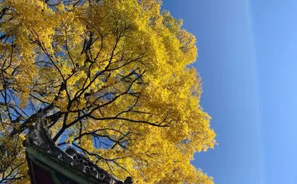Leisure YueGuLou Inn