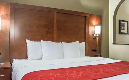 Comfort Suites University Research Park