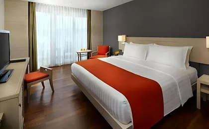 HOTEL PALAZZO INN ( PURE-VEG )
