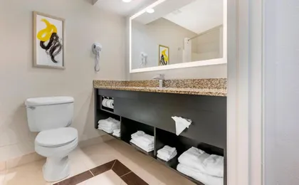 Comfort Inn & Suites Saint Louis Lafayette Square