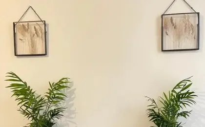 Central Located Two Bedroom Suite