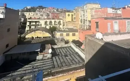 Napolitudine