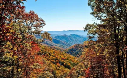 Woodshed by Jackson Mountain Rentals