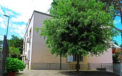 Ianus Guest House