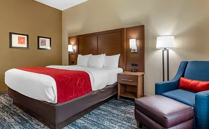 Comfort Inn & Suites Downtown near University