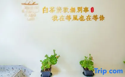 Dali Yuxiuyuan Mountain View B&B (Ancient City South Gate)
