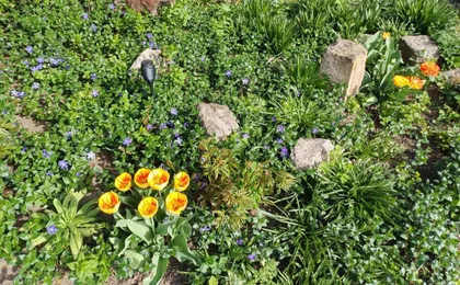 Plantagengut Hosterwitz