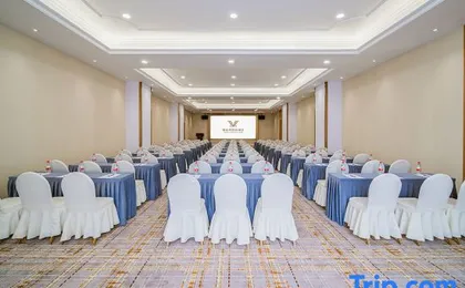 Vienna International Hotel (Shenzhen North Railway Station Longhua Yifang Tiandi Branch)
