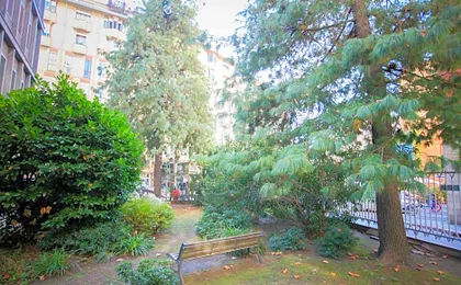 The Grove