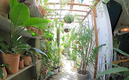 Casa Flor Jardim Tropical - Ponta Negra