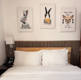 Mayor Hotel