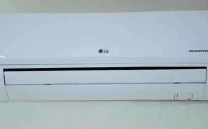 Nerii 3