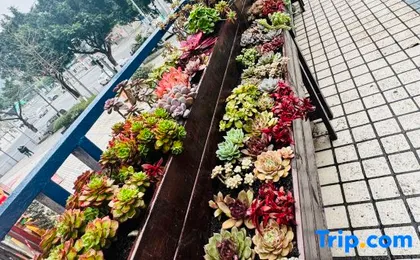 Chongqing Wei Jing Xuan Garden Hotel