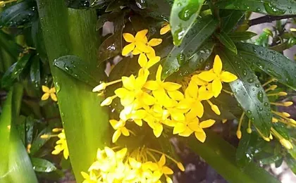 Pousada Betel - Moradas Familia Betel