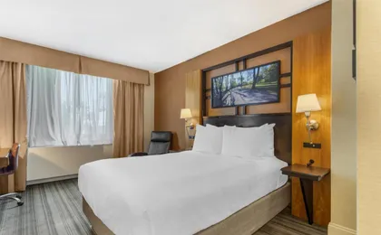 Best Western Queens Gold Coast