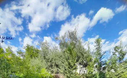 Garden by the Sea