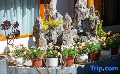 Ananas Valas Mulanjing • Garden Lishe Space Rizhao Jinshan Homestay (Lijiang Ancient City Branch)