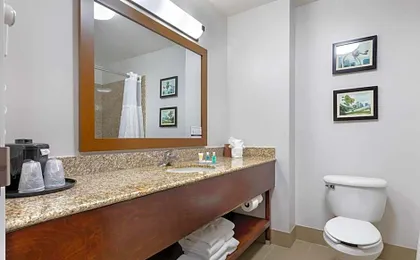 Comfort Suites Dfw N/Grapevine
